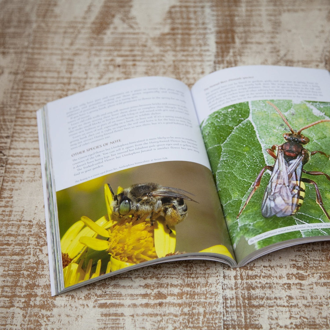 The Secret Lives of Garden Bees by Jean Vernon