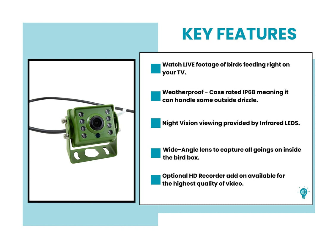 HD Cable Connection Bird Feeder Camera