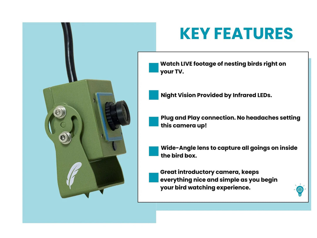 Cable Connection Bird Box & Wildlife Camera