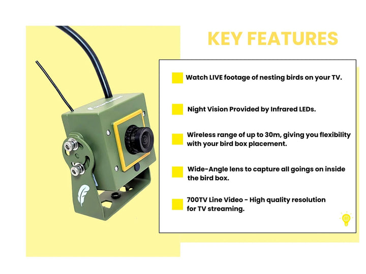 Bird Box & Wildlife Camera with Wireless Transmission