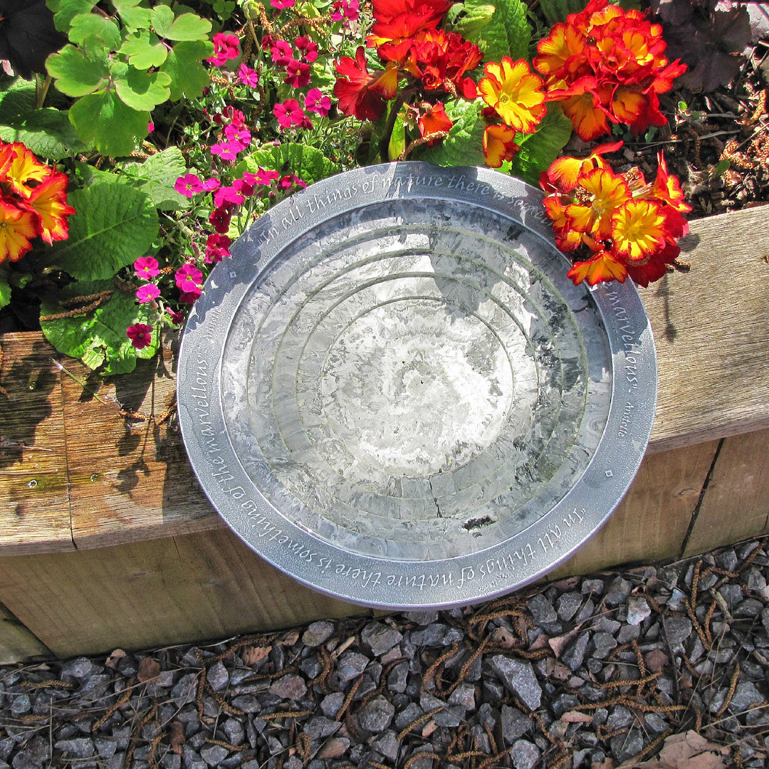 Aristotle Oasis Bird Bath & Drinker