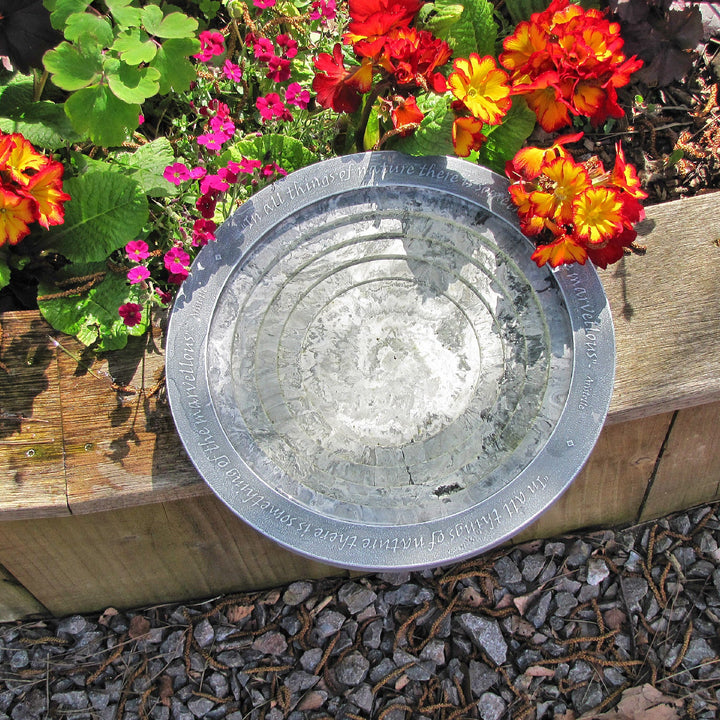 Aristotle Oasis Bird Bath & Drinker