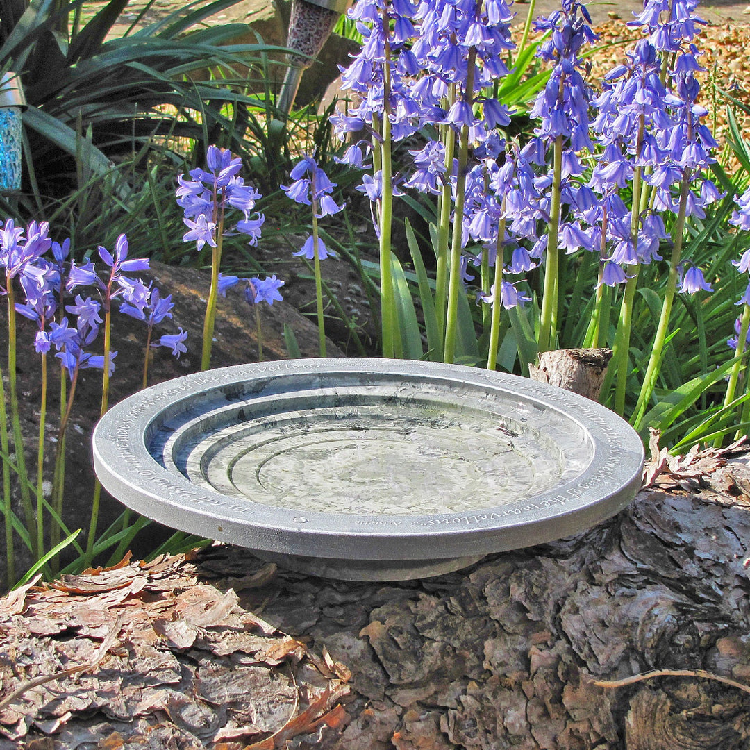Aristotle Oasis Bird Bath & Drinker