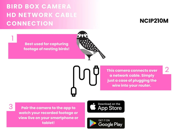 Wired Network Bird Box HD Camera Starter Pack