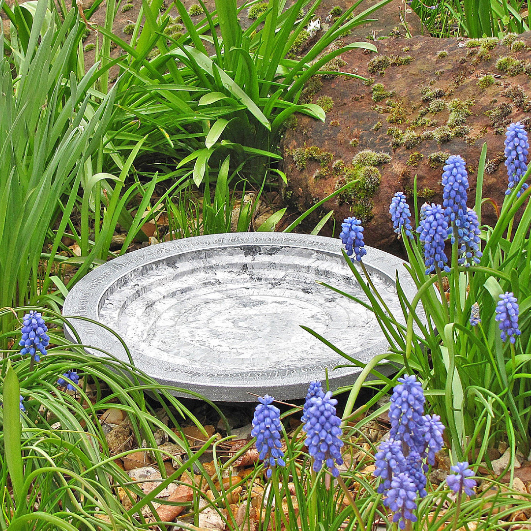 Aristotle Oasis Bird Bath & Drinker