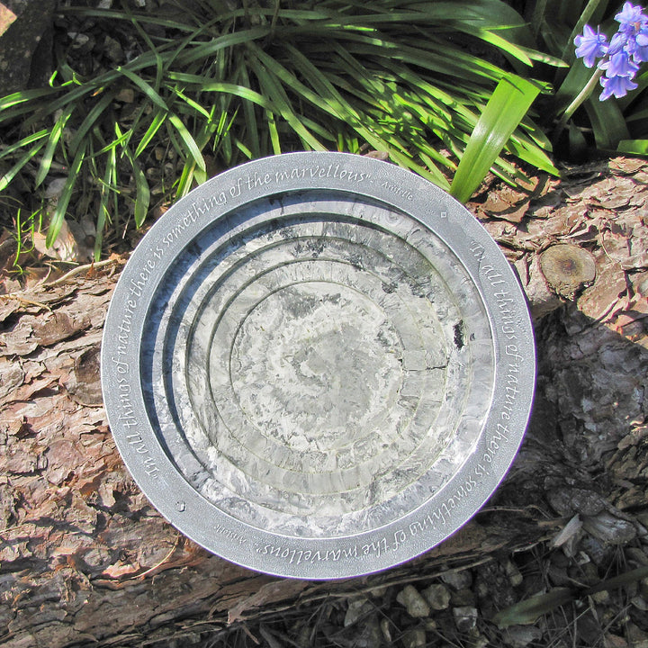 Aristotle Oasis Bird Bath & Drinker