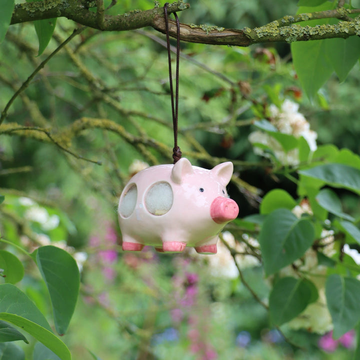 'Curlie' Hanging Ceramic Pig With Nesting Wool