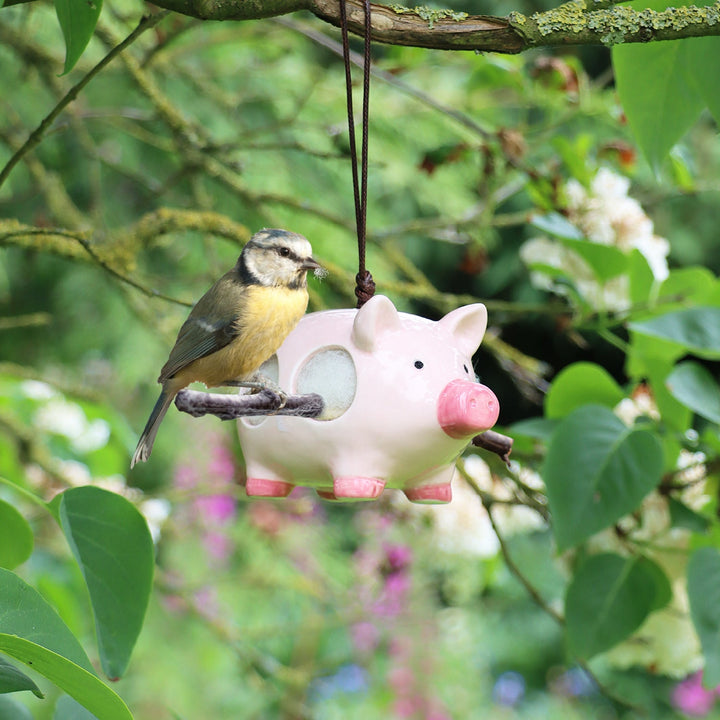 'Curlie' Hanging Ceramic Pig With Nesting Wool