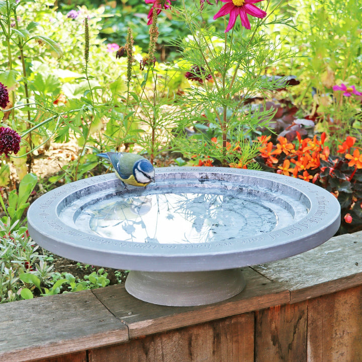 Shenstone Theatre Bird Bath and Drinker