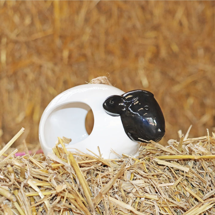 'Woolie' Hanging Ceramic Sheep - Bird Feeder