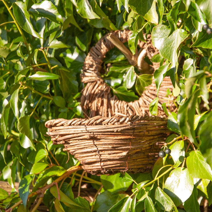 Simon King Blackbird Nester