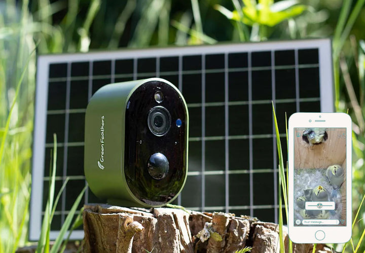 Solar Powered WiFi Bird Box  & Wildlife HD Camera