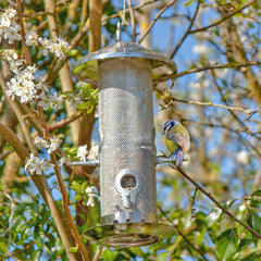 Stainless Steel Bird Feeder - Small