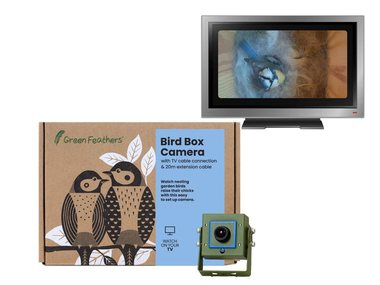 Cable Connection Bird Box & Wildlife Camera