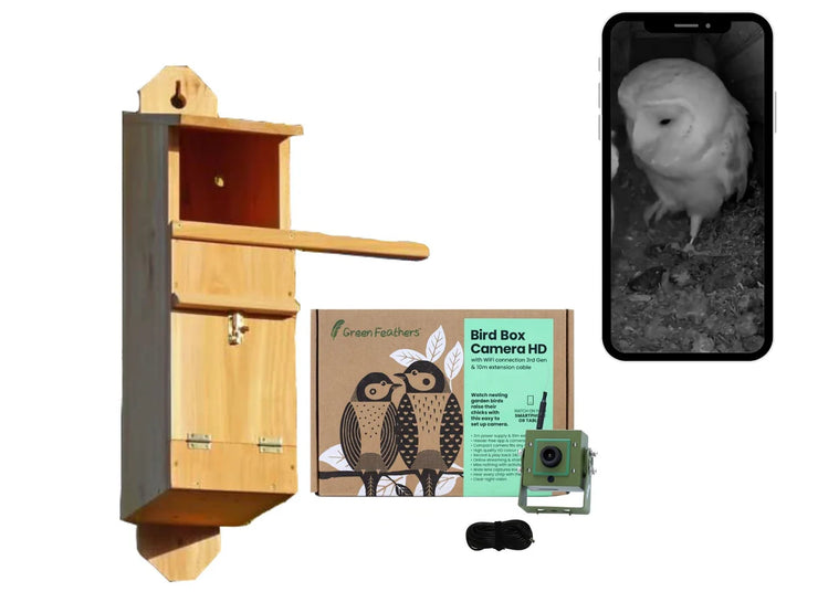 WiFi Tawny Owl Box HD Camera Pack