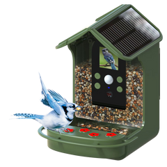 BRAUN Bird Cam 130 Solar Camera