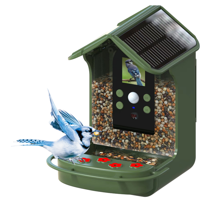 BRAUN Bird Cam 130 Solar Camera