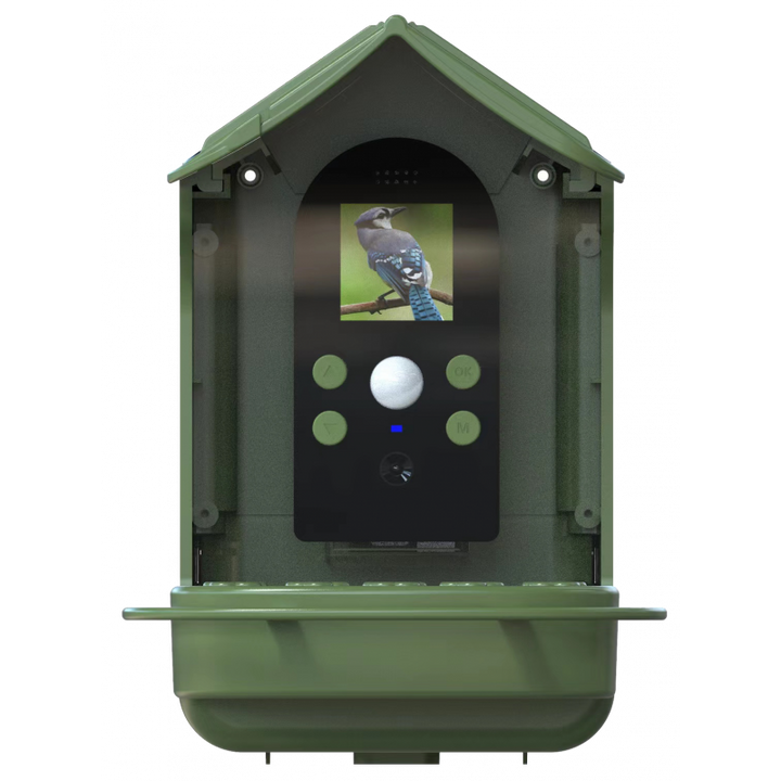 BRAUN Bird Cam 130 Solar Camera