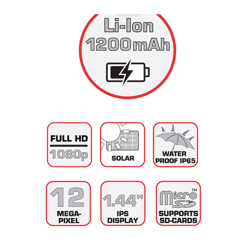 BRAUN Bird Cam 130 Solar Camera