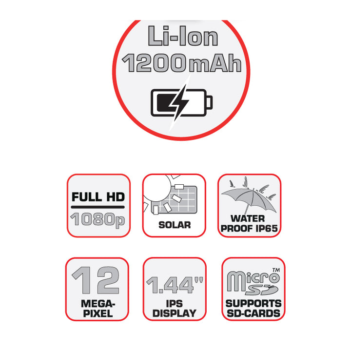 BRAUN Bird Cam 130 Solar Camera