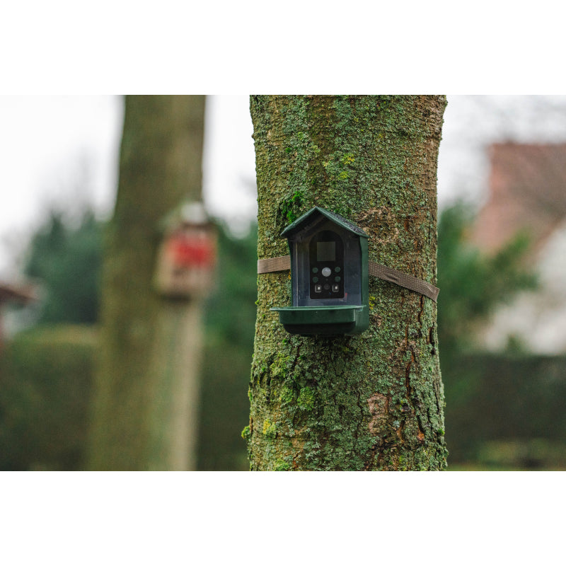 BRAUN Bird Cam 130 Solar Camera