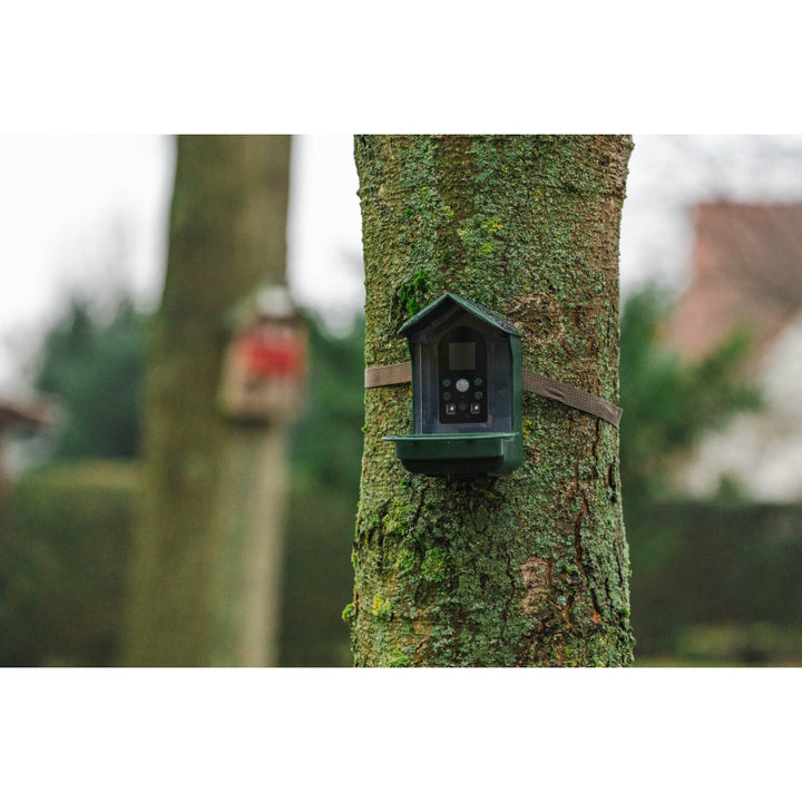 BRAUN Bird Cam 130 Solar Camera