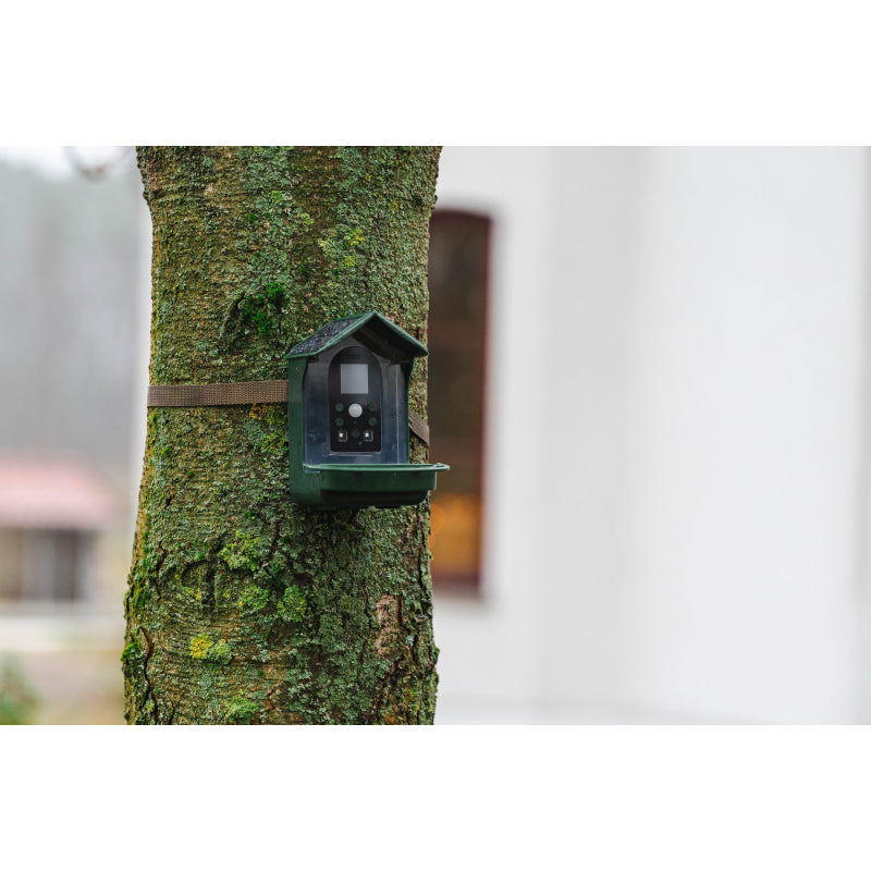 BRAUN Bird Cam 130 Solar Camera