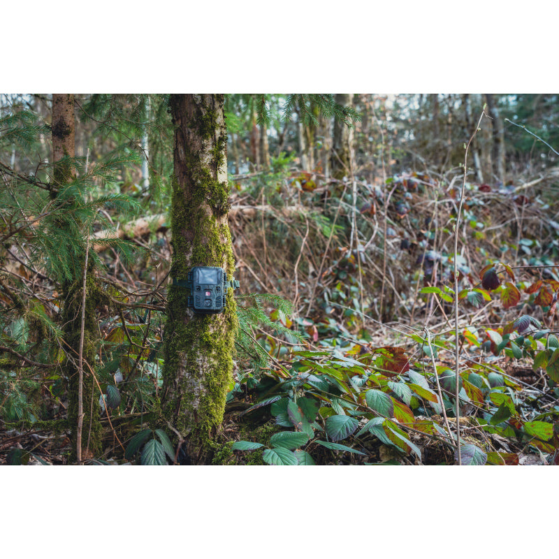 BRAUN Scouting Cam Black200 Mini Trail Camera