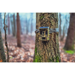 BRAUN Scouting Cam Black300 WiFi Solar 4K Mini Trail Camera