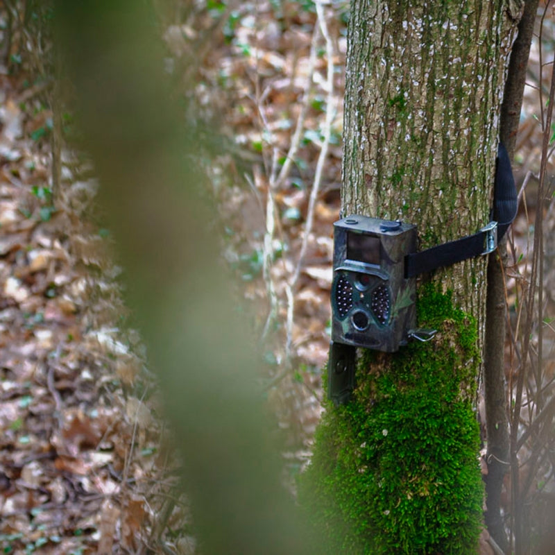 BRAUN Scouting Cam Black300 Trail Camera