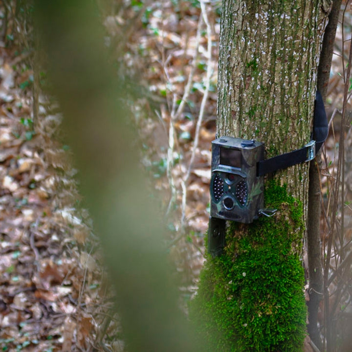 BRAUN Scouting Cam Black300 Trail Camera