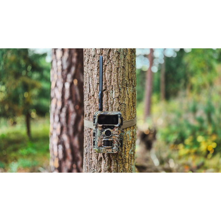BRAUN Scouting Cam BLACK400 4G Trail Camera