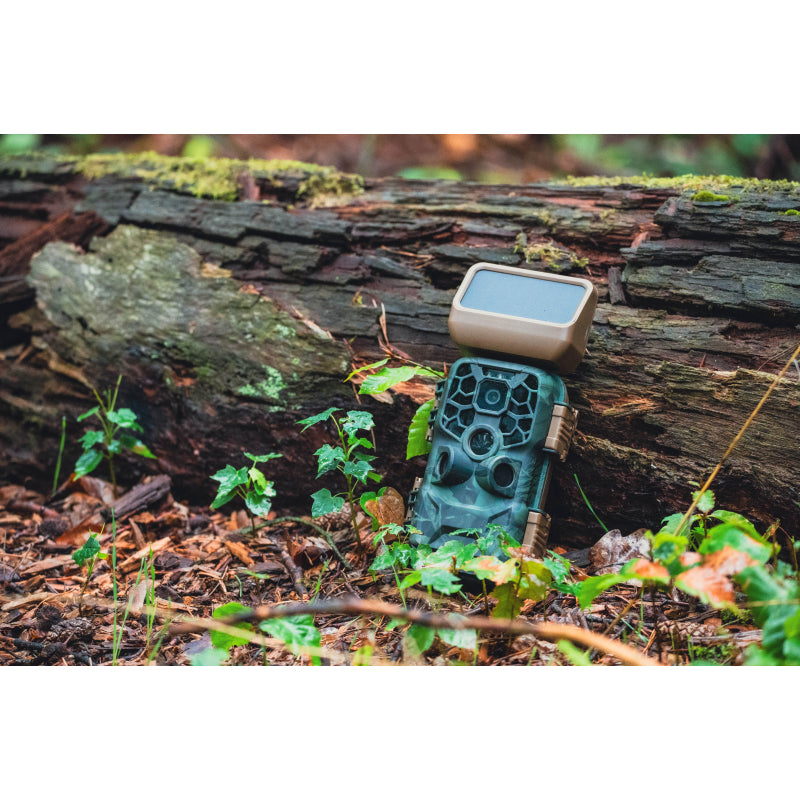 BRAUN Scouting Cam Black400 WiFi Solar Trail Camera