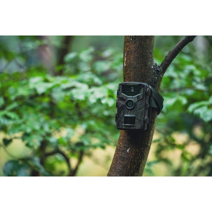 BRAUN Scouting Cam Black575 Trail Camera