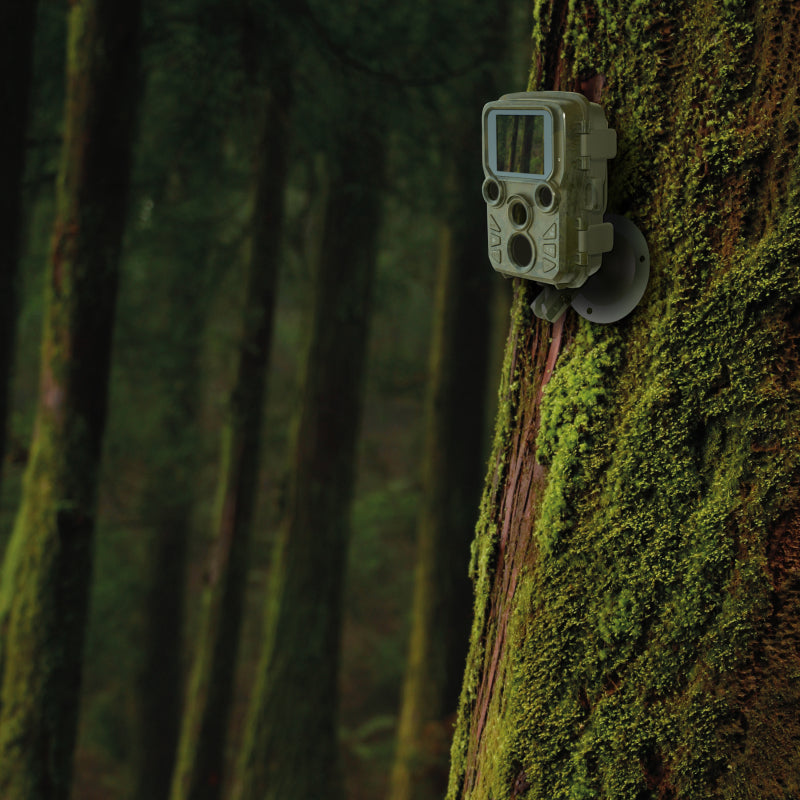 BRAUN Scouting Cam Black800 Mini Trail Camera