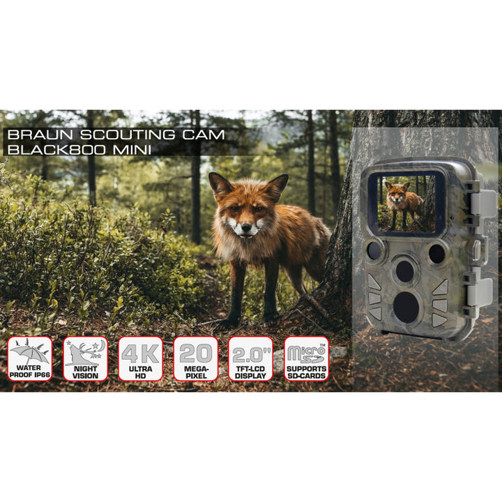 BRAUN Scouting Cam Black800 Mini Trail Camera
