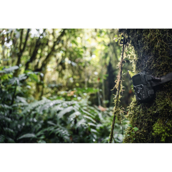 BRAUN Scouting Cam Black800 Mini Trail Camera