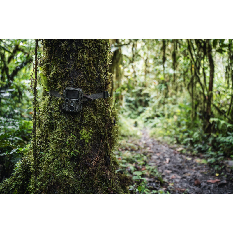 BRAUN Scouting Cam Black800 Mini Trail Camera