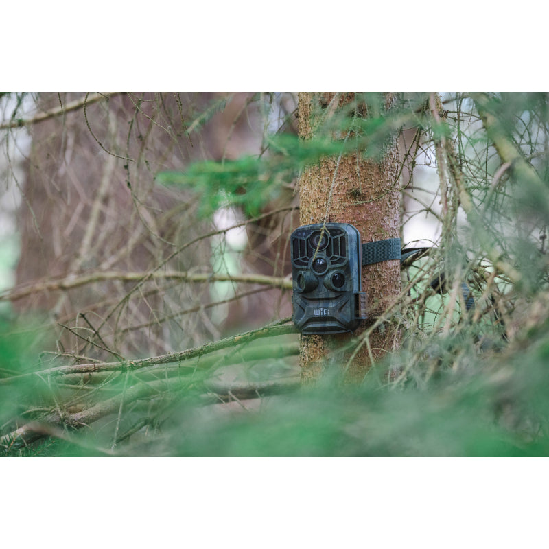 BRAUN Scouting Cam Black 800 WiFi Trail Camera
