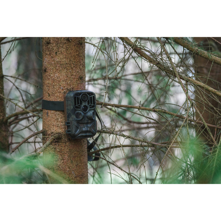 BRAUN Scouting Cam Black 800 WiFi Trail Camera