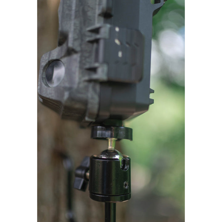 BRAUN Tree mount for Scouting Cams 1/4"