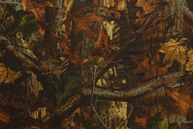 Buteo Photo Gear Bean Bag 3 Flat