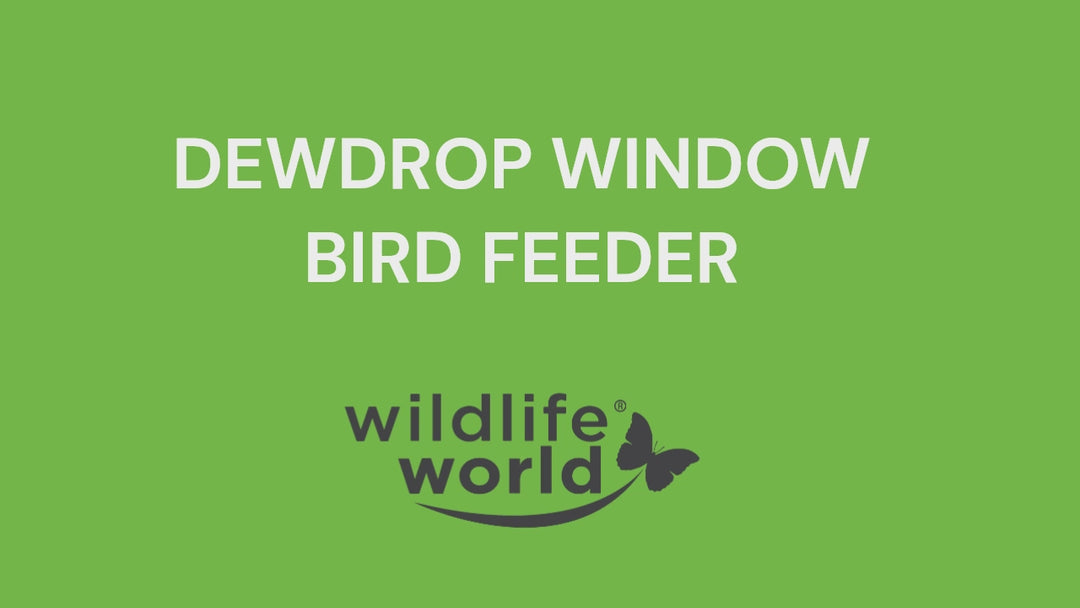 Dewdrop Window Bird Feeder