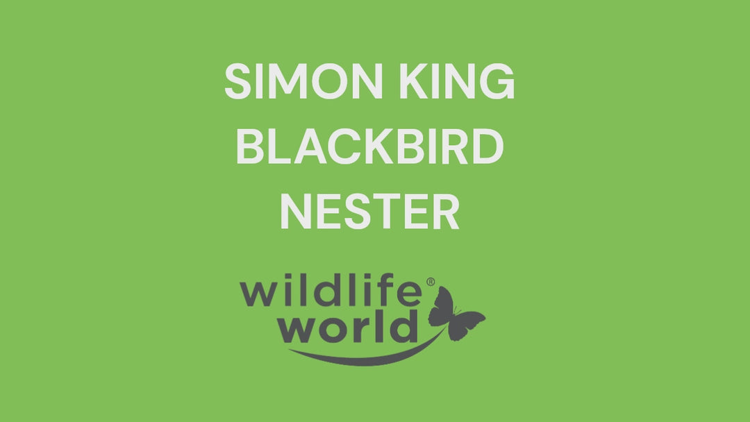 Simon King Blackbird Nester