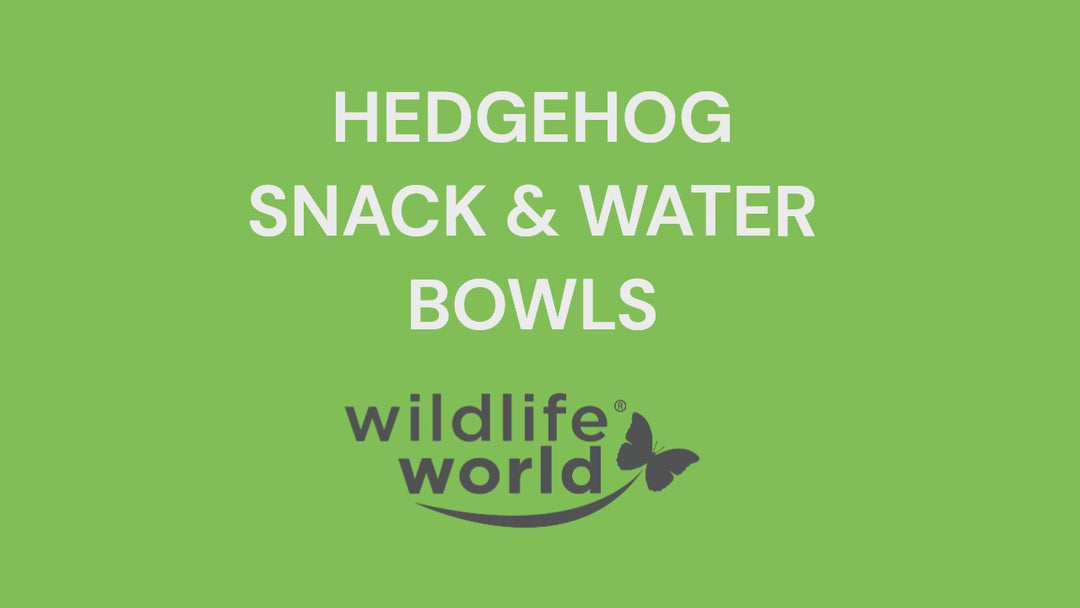 Hedgehog Water Bowl