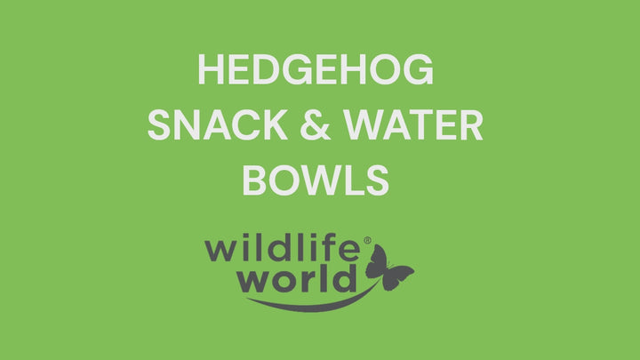 Hedgehog Water Bowl