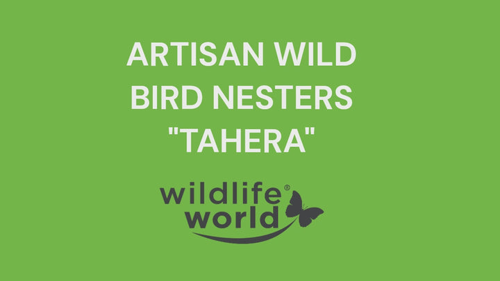 Tahera - Artisan Bird Nester
