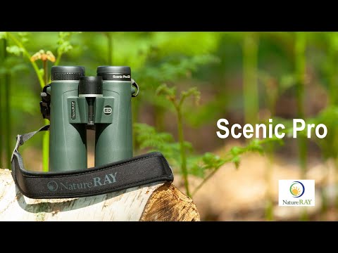 NatureRay Scenic Pro ED 10x42 Binoculars