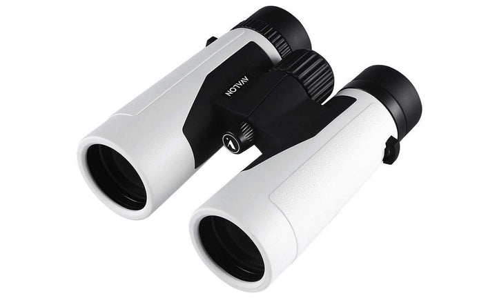 Avalon 10x42 PRO HD Binoculars (PLATINUM)