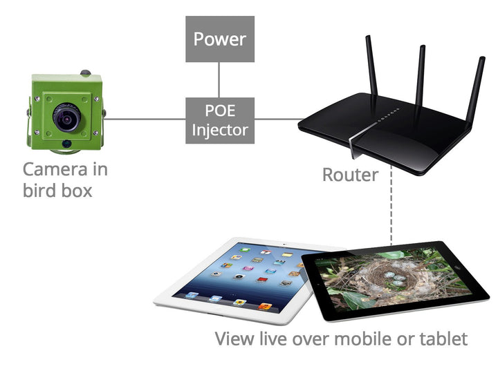 Bird Box Camera HD Network Cable Connection